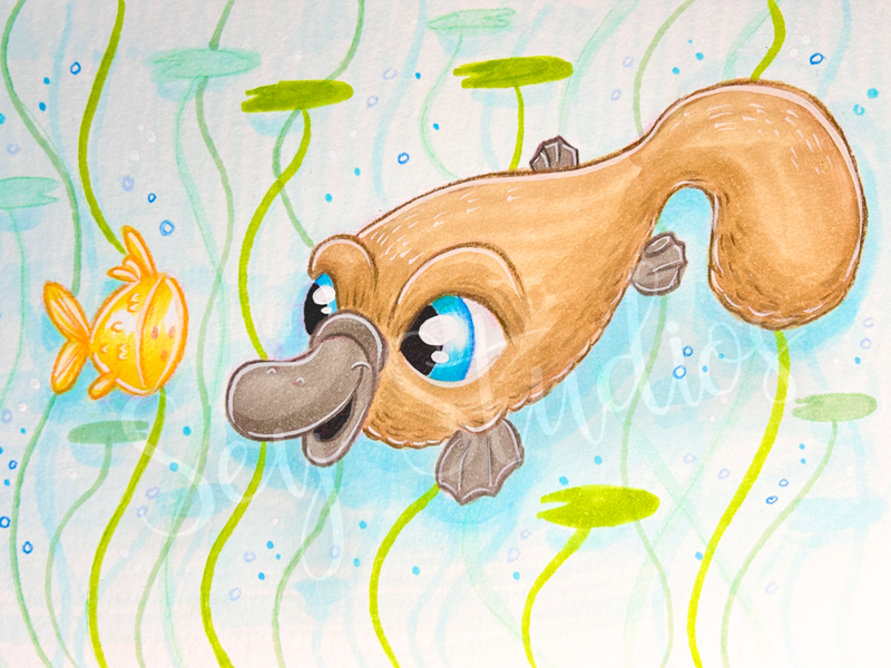 "Patty the Platypus" Design